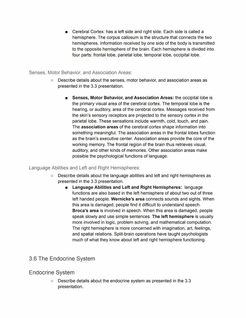 Unit 3: Biology and Behavior - Guided Notes
3.1 The Nervous System
Nervous System
● Describe details about the nervous system as presented i