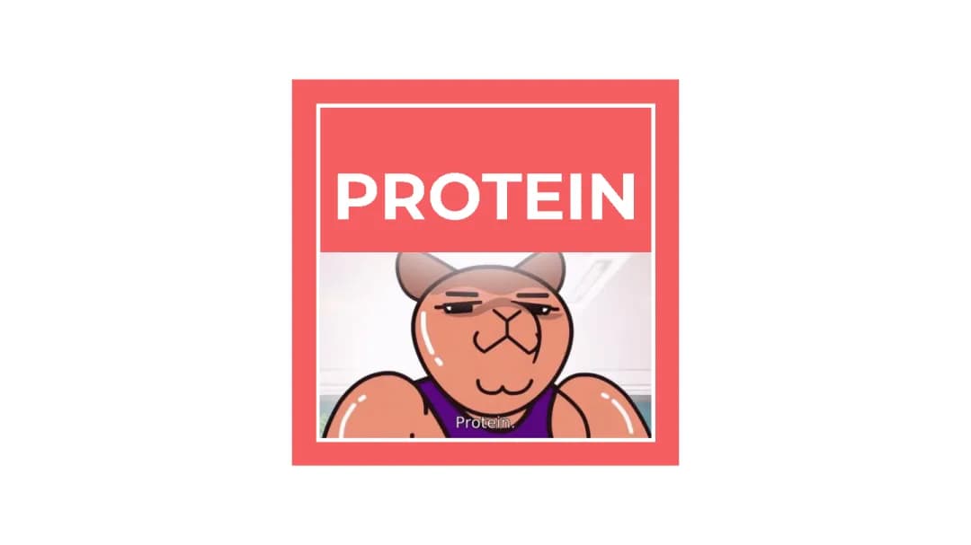 Proteins