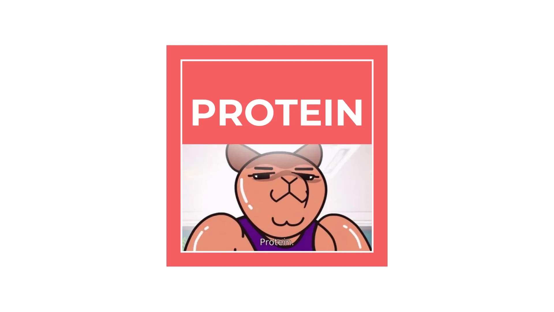 PROTEIN
Protein. PROT PROTEINS
It is a large biomolecule, it is made of one or more
long chains of amino acid residues.
• There are 20 diffe