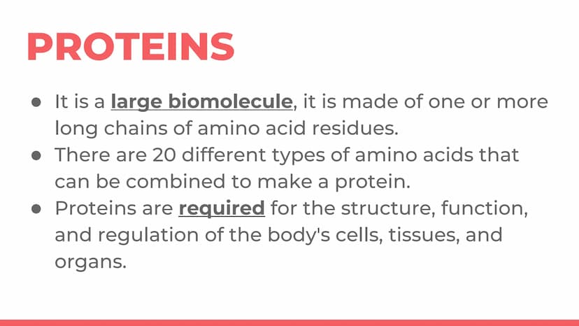 PROTEIN
Protein. PROT PROTEINS
It is a large biomolecule, it is made of one or more
long chains of amino acid residues.
• There are 20 diffe