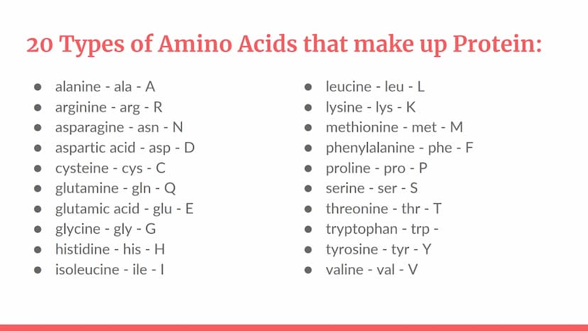 PROTEIN
Protein. PROT PROTEINS
It is a large biomolecule, it is made of one or more
long chains of amino acid residues.
• There are 20 diffe