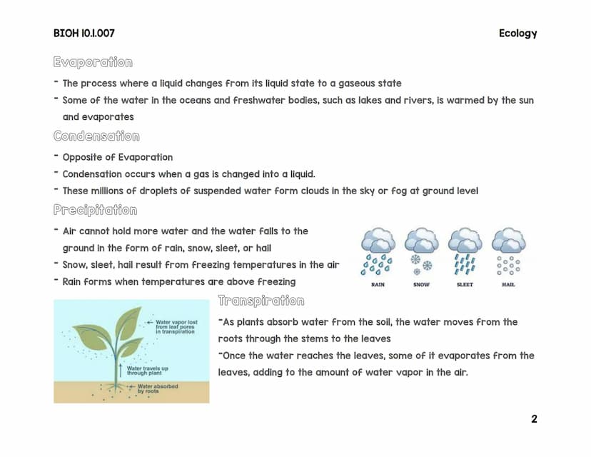 BIOH 10.1.007
Carbon & water Cycle
Transpiration
Percolation
The Hydrologic Cycle (Water Cycle)
Condensation
Precipitation
Lake
Snowmealt
Ev