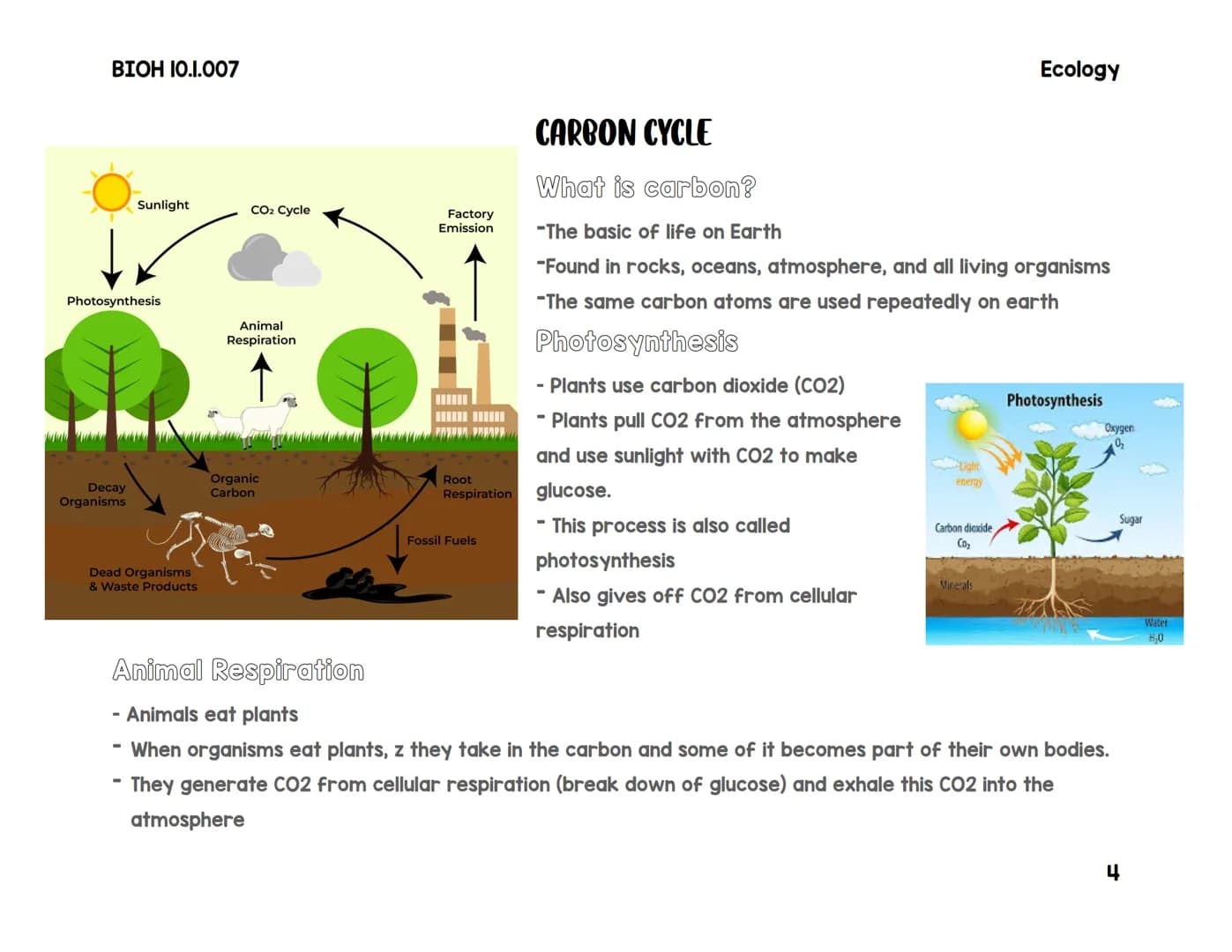 BIOH 10.1.007
Carbon & water Cycle
Transpiration
Percolation
The Hydrologic Cycle (Water Cycle)
Condensation
Precipitation
Lake
Snowmealt
Ev