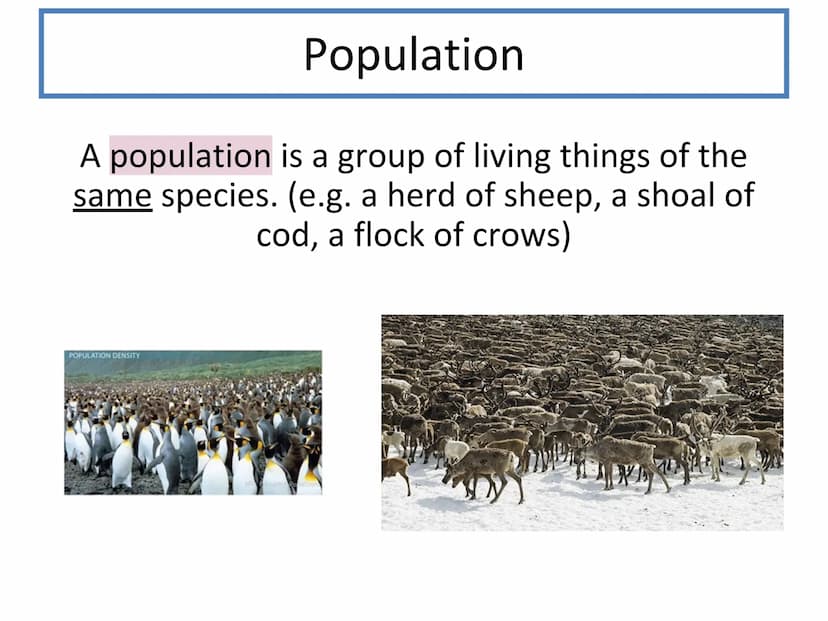 N5 Unit 3 KA1
Ecosystems N5 biology course
1. Cell Biology
2. Multicellular Organisms
3. Life on Earth Unit 3 - Life on Earth
1. Ecosystems

