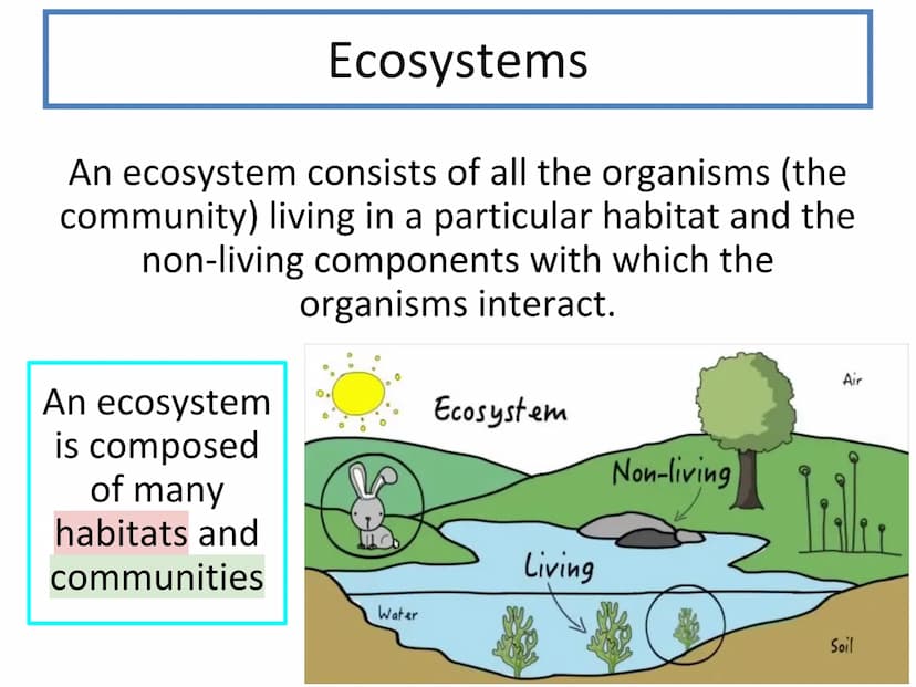 N5 Unit 3 KA1
Ecosystems N5 biology course
1. Cell Biology
2. Multicellular Organisms
3. Life on Earth Unit 3 - Life on Earth
1. Ecosystems
