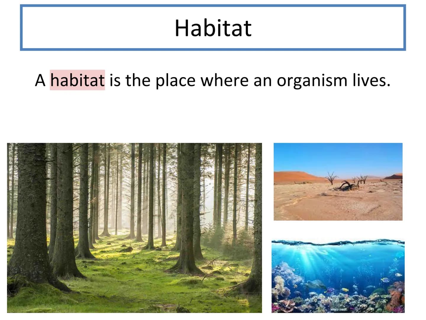 N5 Unit 3 KA1
Ecosystems N5 biology course
1. Cell Biology
2. Multicellular Organisms
3. Life on Earth Unit 3 - Life on Earth
1. Ecosystems
