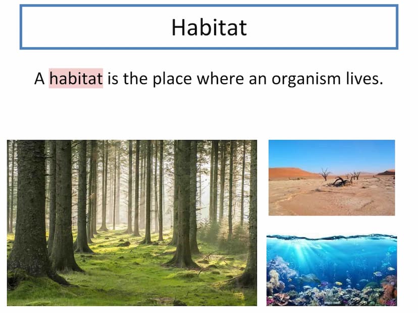 N5 Unit 3 KA1
Ecosystems N5 biology course
1. Cell Biology
2. Multicellular Organisms
3. Life on Earth Unit 3 - Life on Earth
1. Ecosystems
