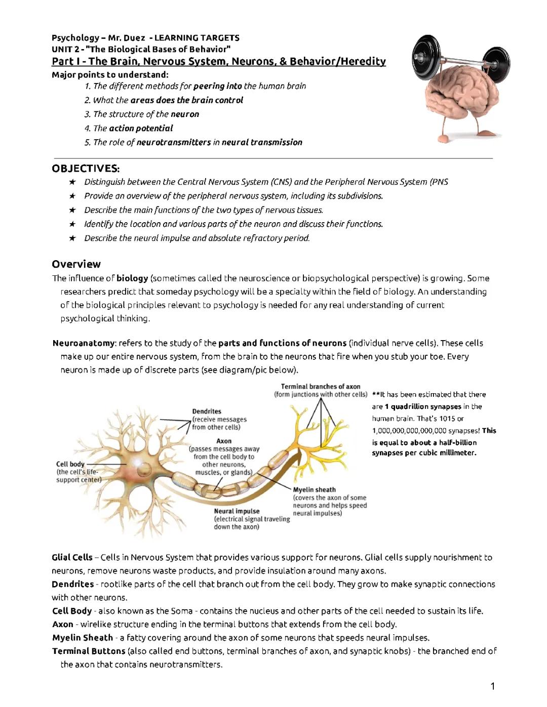 Awesome Study Guide: Biological Bases of Behavior and Neural Fun!