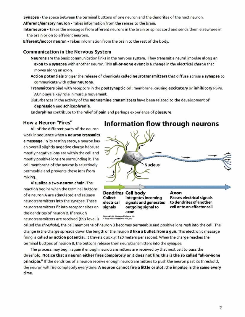Psychology - Mr. Duez-LEARNING TARGETS
UNIT 2- "The Biological Bases of Behavior"
Part I - The Brain, Nervous System, Neurons, & Behavior/He
