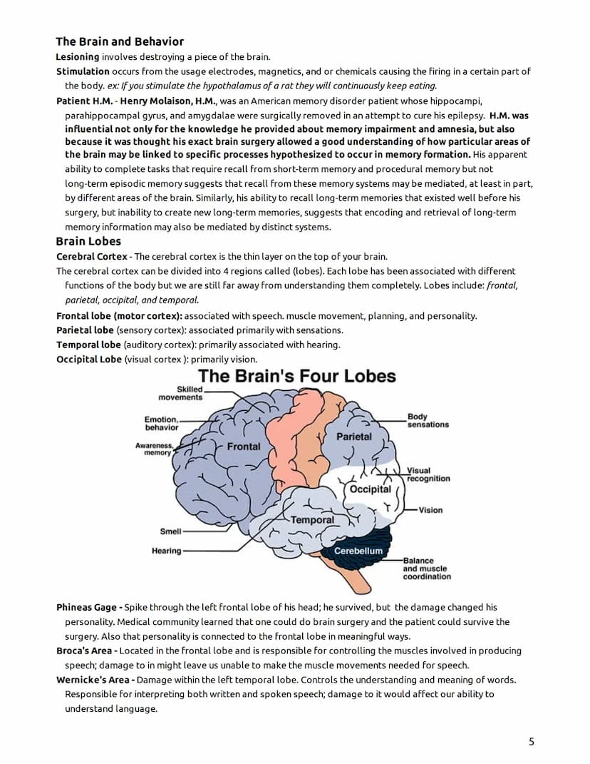 Psychology - Mr. Duez-LEARNING TARGETS
UNIT 2- "The Biological Bases of Behavior"
Part I - The Brain, Nervous System, Neurons, & Behavior/He