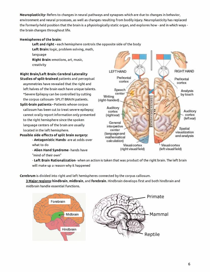 Psychology - Mr. Duez-LEARNING TARGETS
UNIT 2- "The Biological Bases of Behavior"
Part I - The Brain, Nervous System, Neurons, & Behavior/He