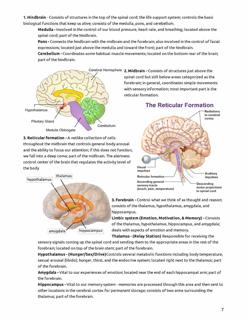 Psychology - Mr. Duez-LEARNING TARGETS
UNIT 2- "The Biological Bases of Behavior"
Part I - The Brain, Nervous System, Neurons, & Behavior/He