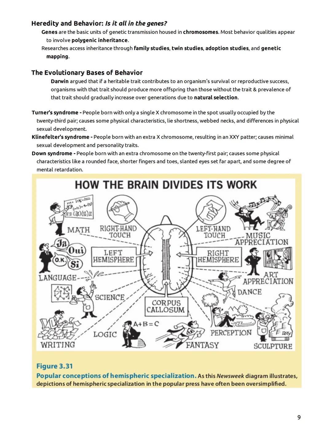 Psychology - Mr. Duez-LEARNING TARGETS
UNIT 2- "The Biological Bases of Behavior"
Part I - The Brain, Nervous System, Neurons, & Behavior/He