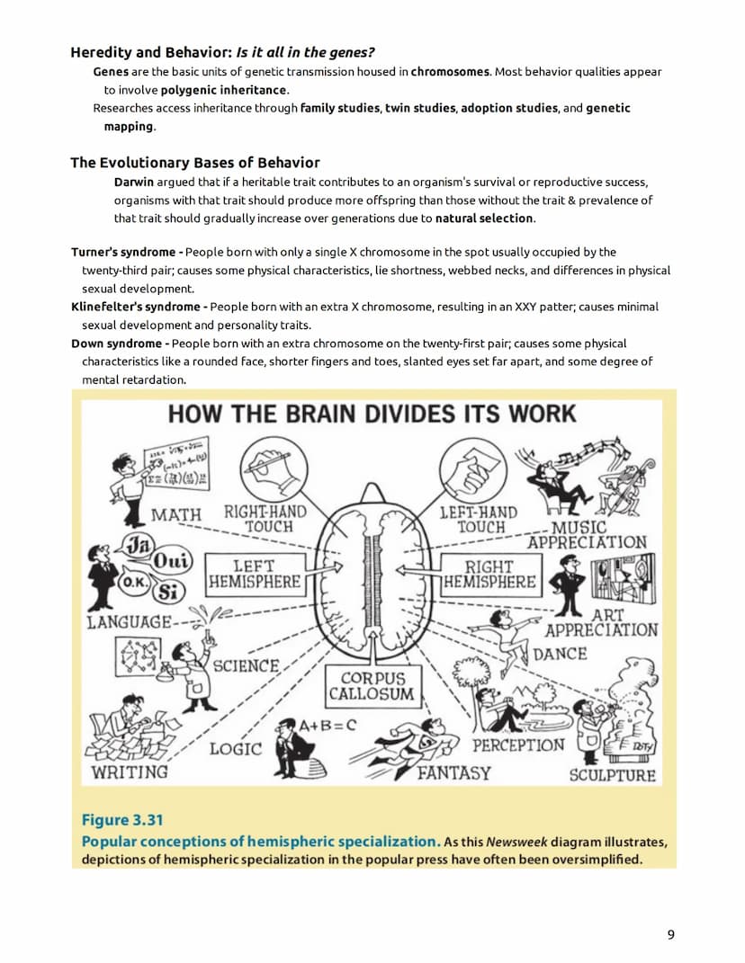 Psychology - Mr. Duez-LEARNING TARGETS
UNIT 2- "The Biological Bases of Behavior"
Part I - The Brain, Nervous System, Neurons, & Behavior/He