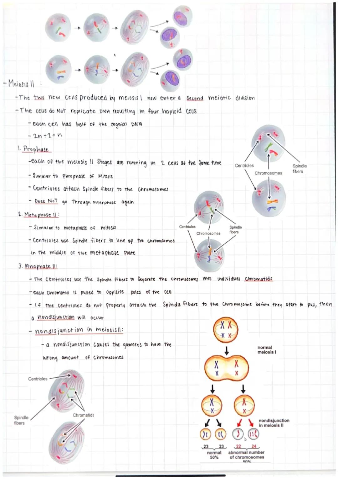 -The process of reduction division
-as a cell Splits You only get part of the information.
-The purpose of Meiosis is to produce gametes (Se