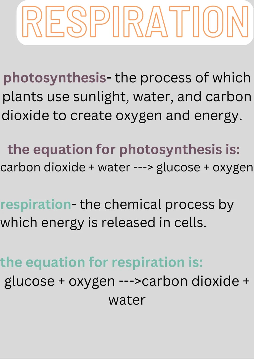 RESPIRATION
photosynthesis- the process of which
plants use sunlight, water, and carbon
dioxide to create oxygen and energy.
the equation fo