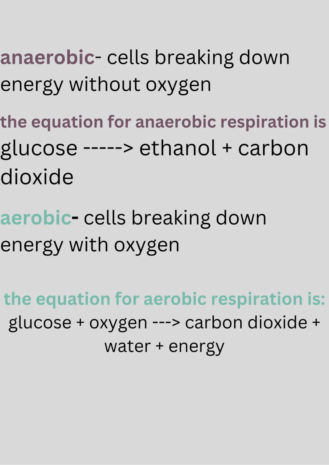 RESPIRATION
photosynthesis- the process of which
plants use sunlight, water, and carbon
dioxide to create oxygen and energy.
the equation fo
