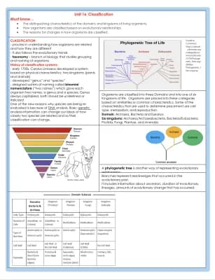 Know Classification  thumbnail