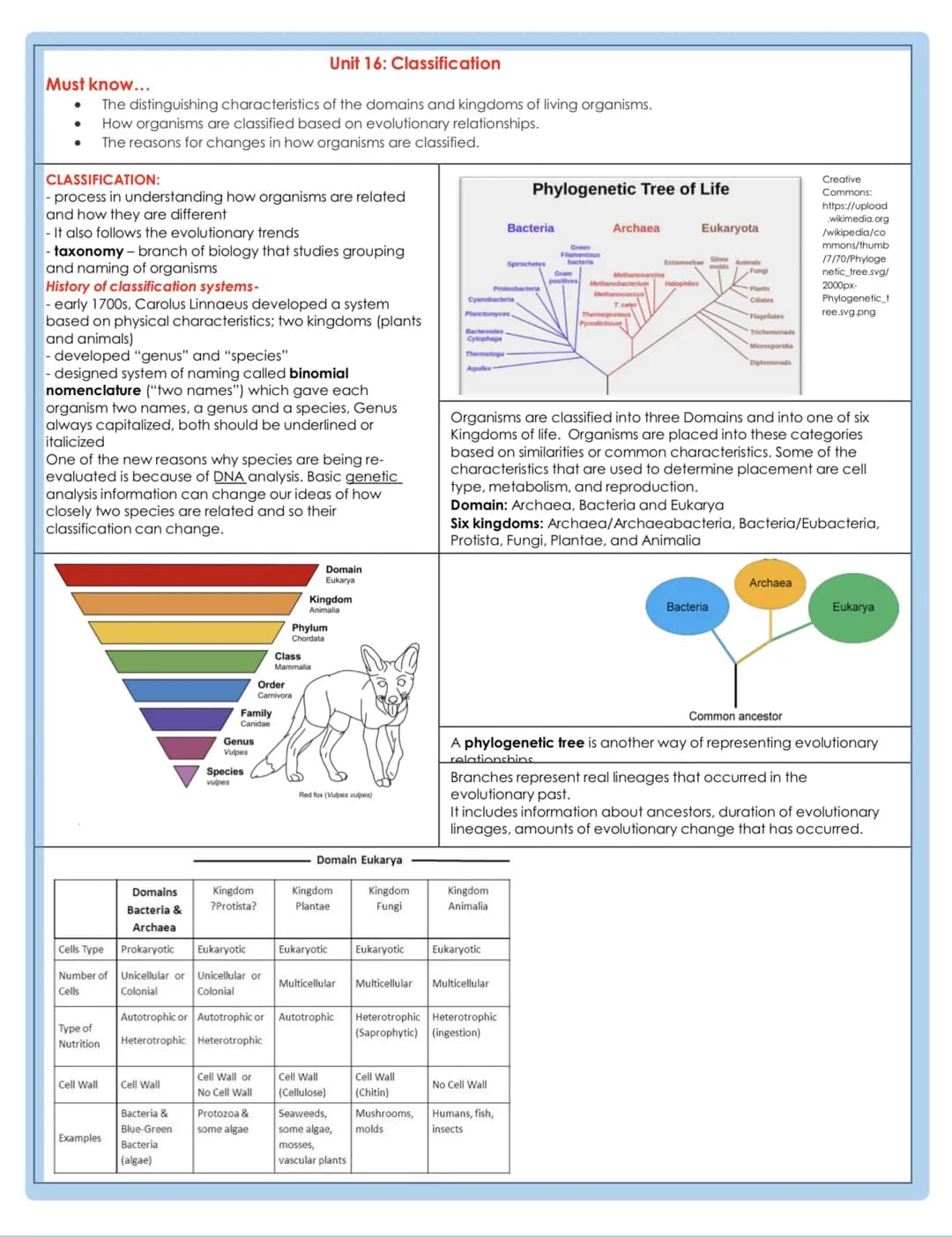 Must know...
The distinguishing characteristics of the domains and kingdoms of living organisms.
How organisms are classified based on evolu