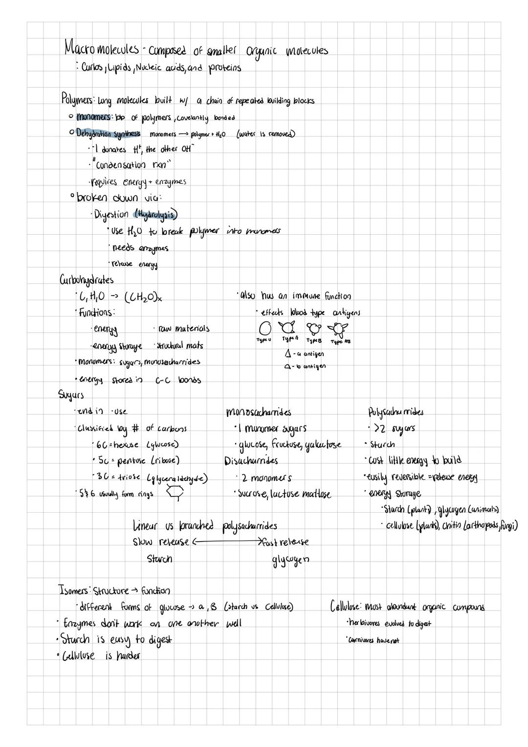• matter made of atoms
•Protons, neutrons, and electrons
• life is mostly made up of Curbon, Oxygen, Hydrogen, and Nitrogen
•Secundarily Pot