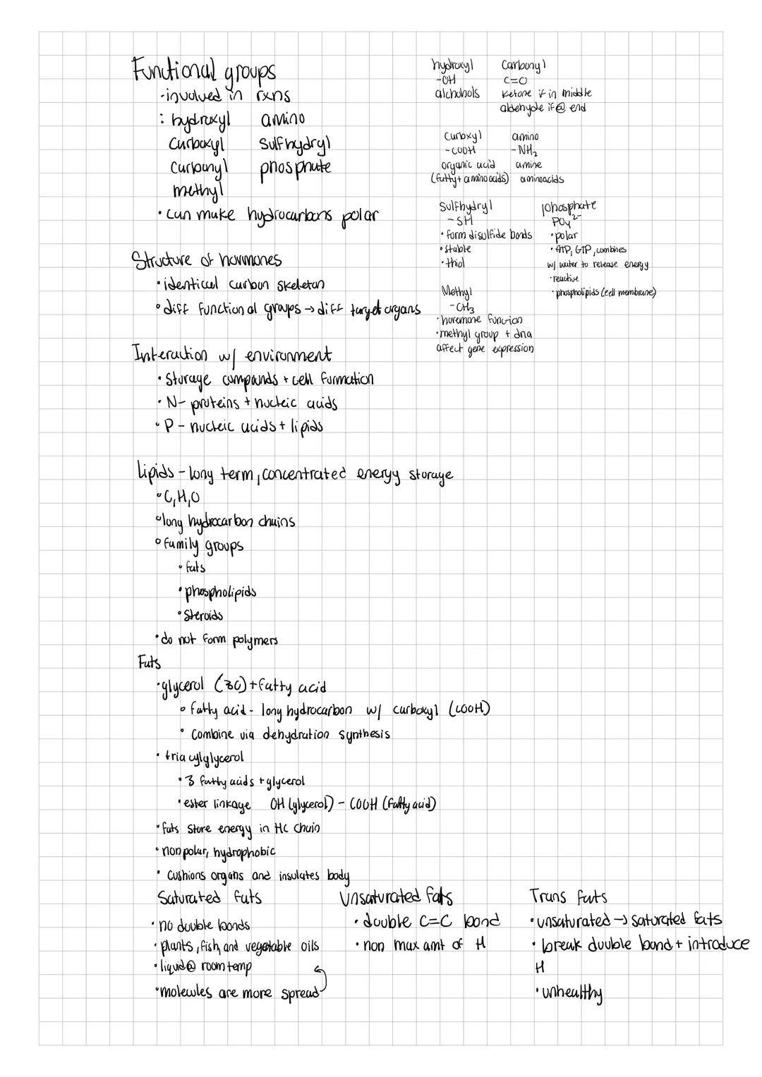 • matter made of atoms
•Protons, neutrons, and electrons
• life is mostly made up of Curbon, Oxygen, Hydrogen, and Nitrogen
•Secundarily Pot