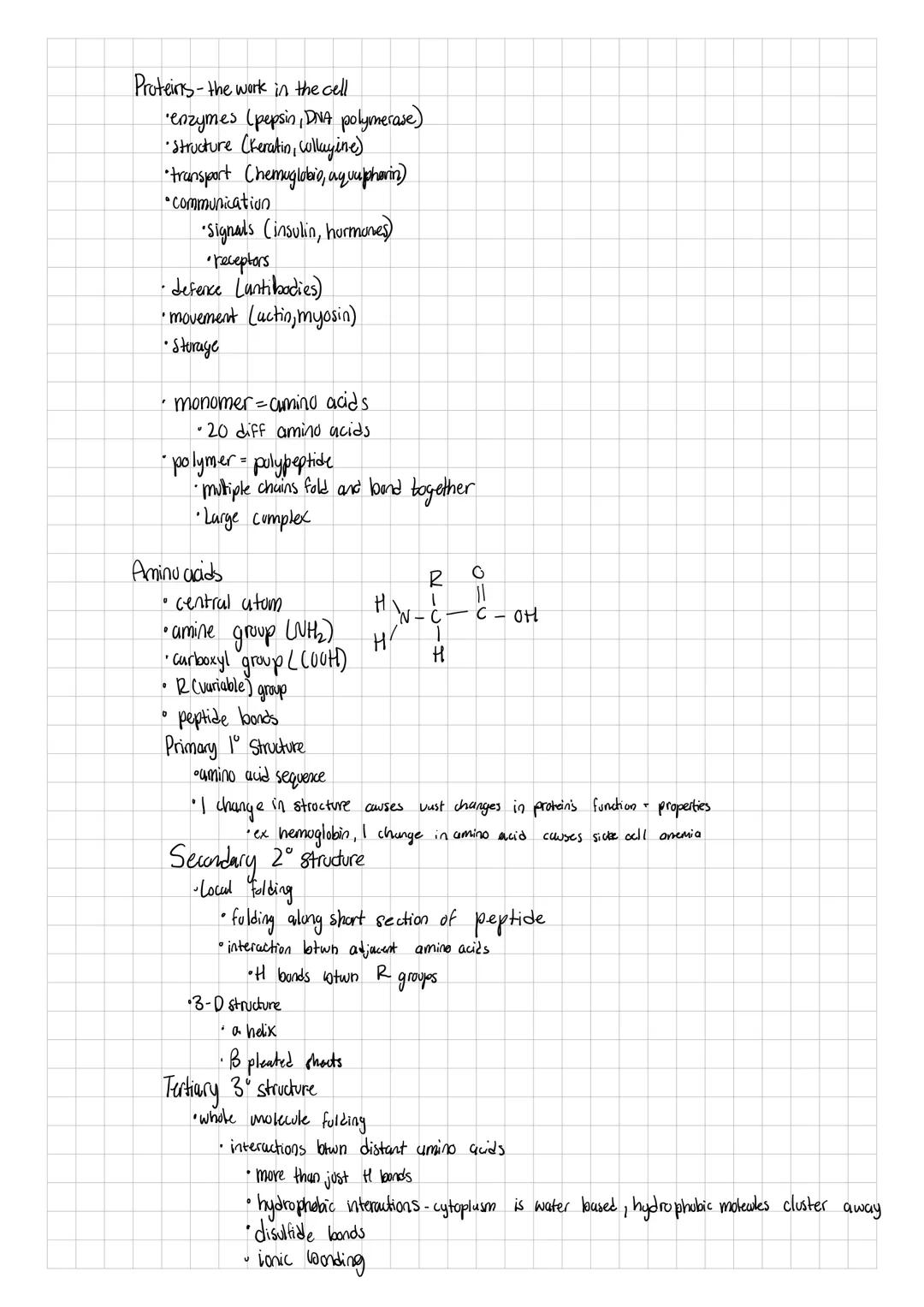• matter made of atoms
•Protons, neutrons, and electrons
• life is mostly made up of Curbon, Oxygen, Hydrogen, and Nitrogen
•Secundarily Pot