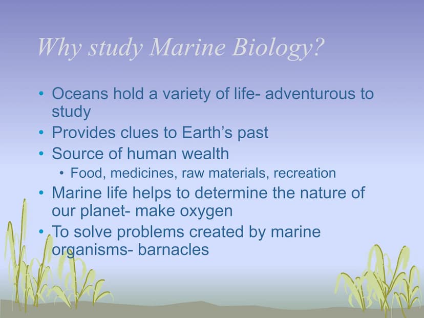 The Science of Marine Biology
UNIT 1
Intro video What is Marine Biology
Scientific study of organisms of the seas
●
W What is Oceanography?
