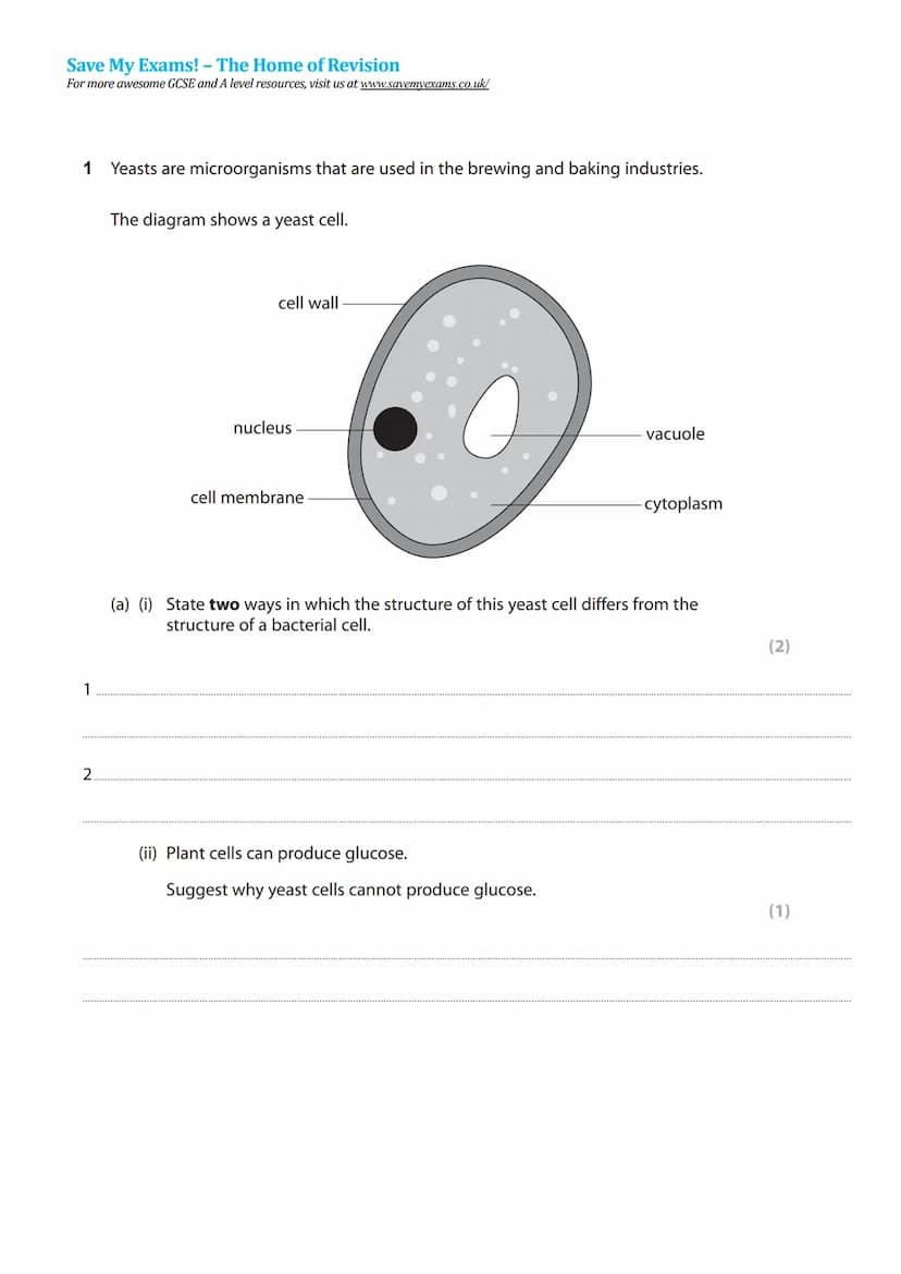 Save My Exams! - The Home of Revision
For more awesome GCSE and A level resources, visit us at www.savemyexams.co.uk/
Level
Subject
Exam Boa