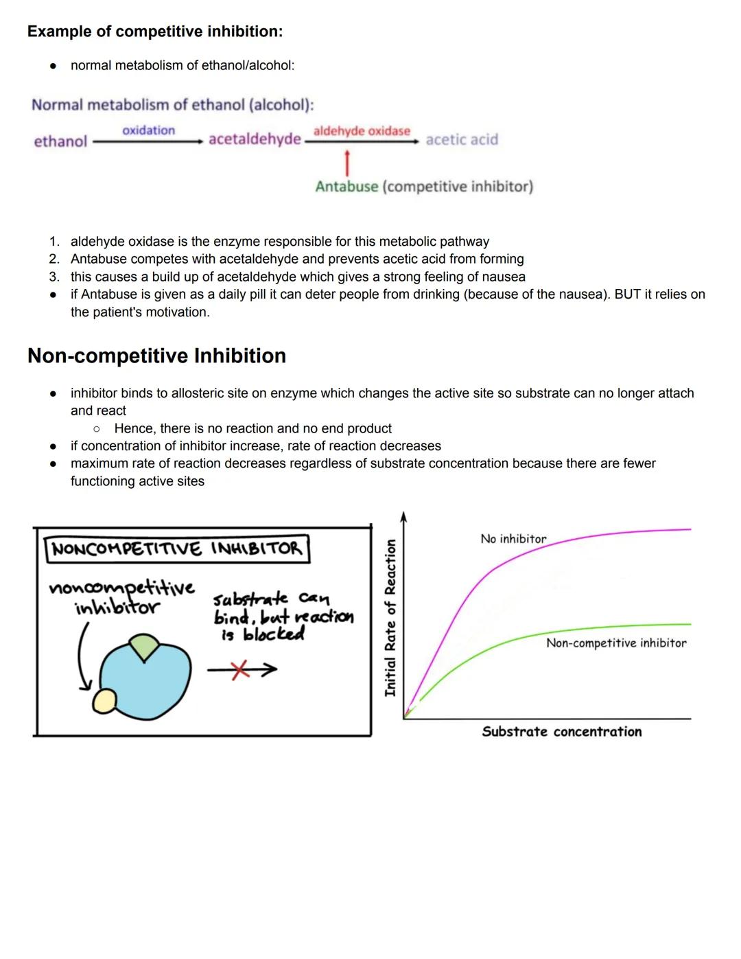 C8.1 Metabolism
Key Words
Metabolism
Metabolic pathways
Catalysts
Inhibitor
●
●
Definition
sum total of all chemical reaction that occur in 