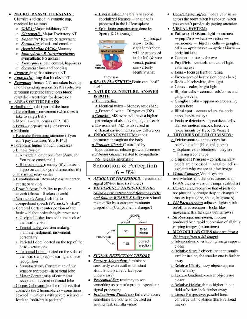 AP Psychology Study Guide
Operational Definition: clear, precise,
typically quantifiable definition of your
variables - allows replication
•