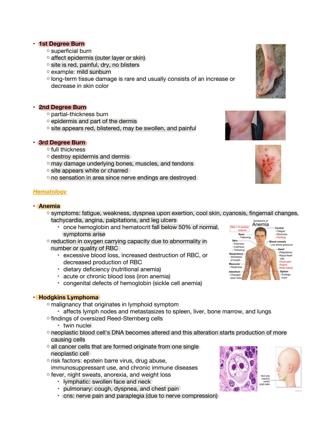 Integumentary.
Anatomy
.
o largest organ
hairy: prevalent
glabrous: thick on fingers, palms, soles, etc
o keratinocytes: predominant cell ty