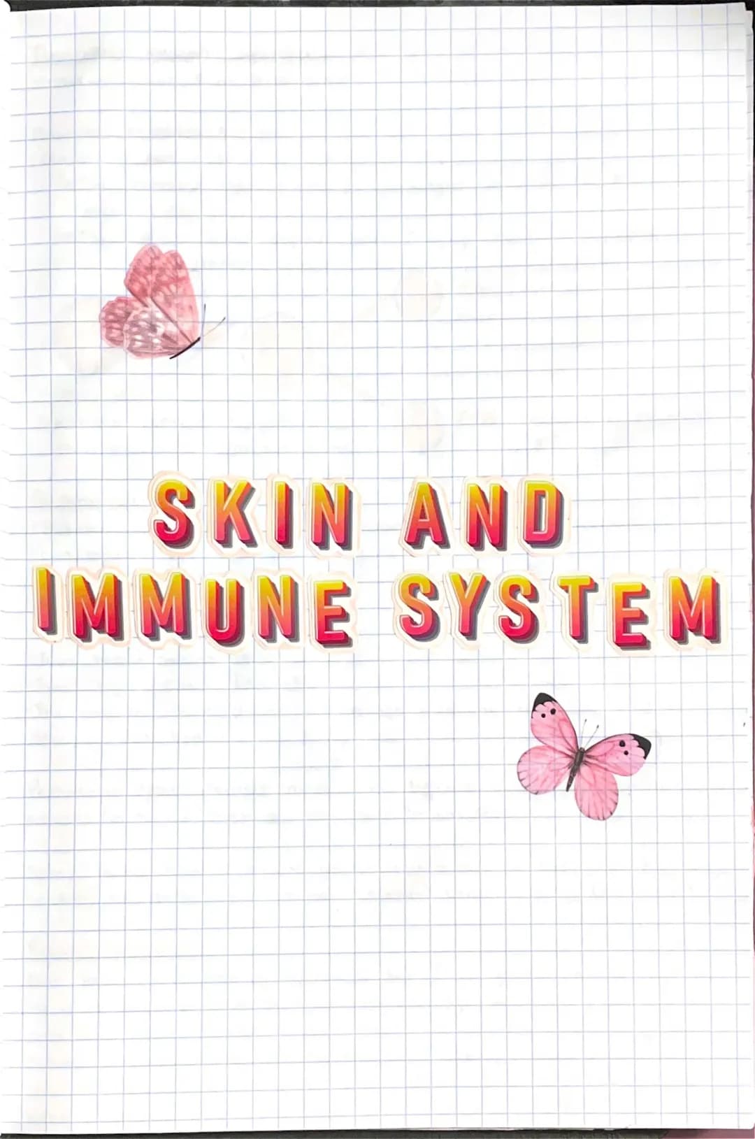 How Your Immune Army Fights Germs: B Cells, Diet, and Vaccines!