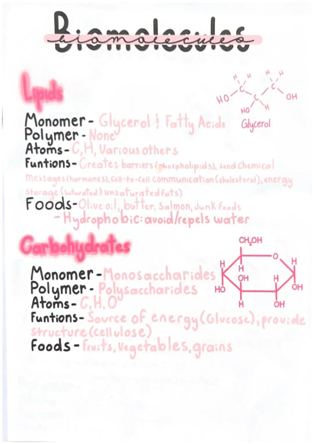 
<h2 id="monomeraminoacids">Monomer-Amino Acids</h2>
<p>The monomer of proteins is made up of amino acids. Amino acids are organic compounds