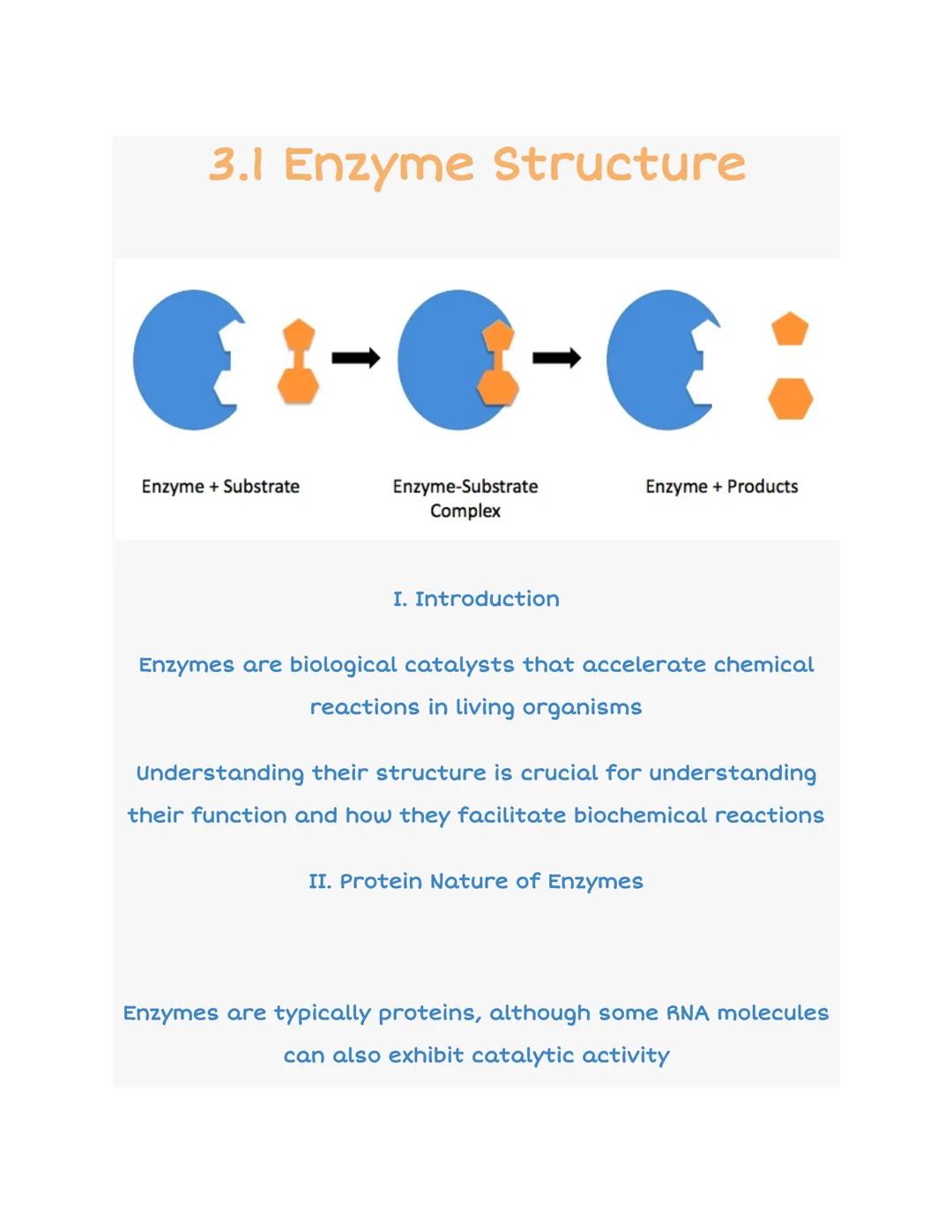 3.1 Enzyme Structure