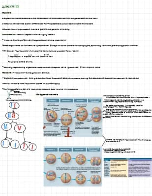 Know Unit 5-AP Bio Notes thumbnail