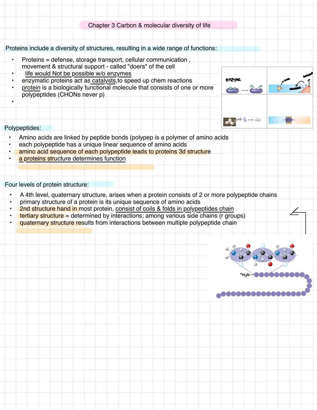 Biochem Study Guide