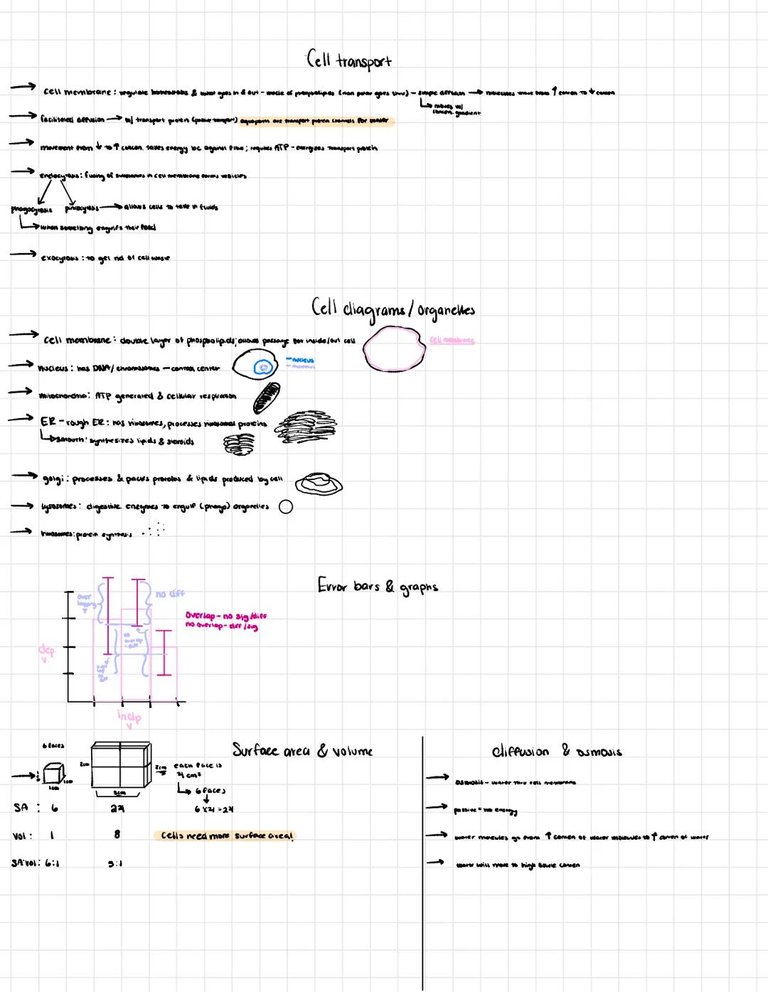 Proteins include a diversity of structures, resulting in a wide range of functions:
Proteins defense, storage transport, cellular communicat