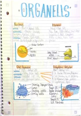 Know Cells and Organells Notes thumbnail