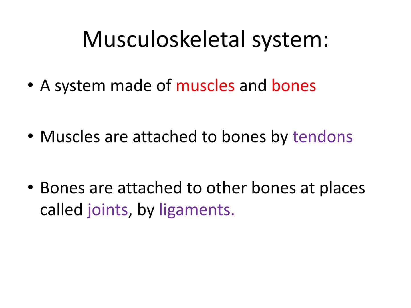 The Musculoskeletal System Musculoskeletal
system:
• A system made of muscles and bones
●
Muscles are attached to bones by tendons
• Bones a