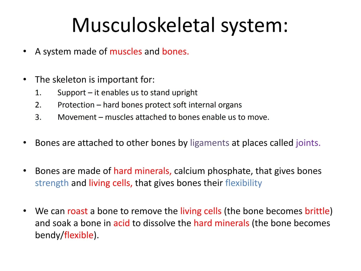 The Musculoskeletal System Musculoskeletal
system:
• A system made of muscles and bones
●
Muscles are attached to bones by tendons
• Bones a