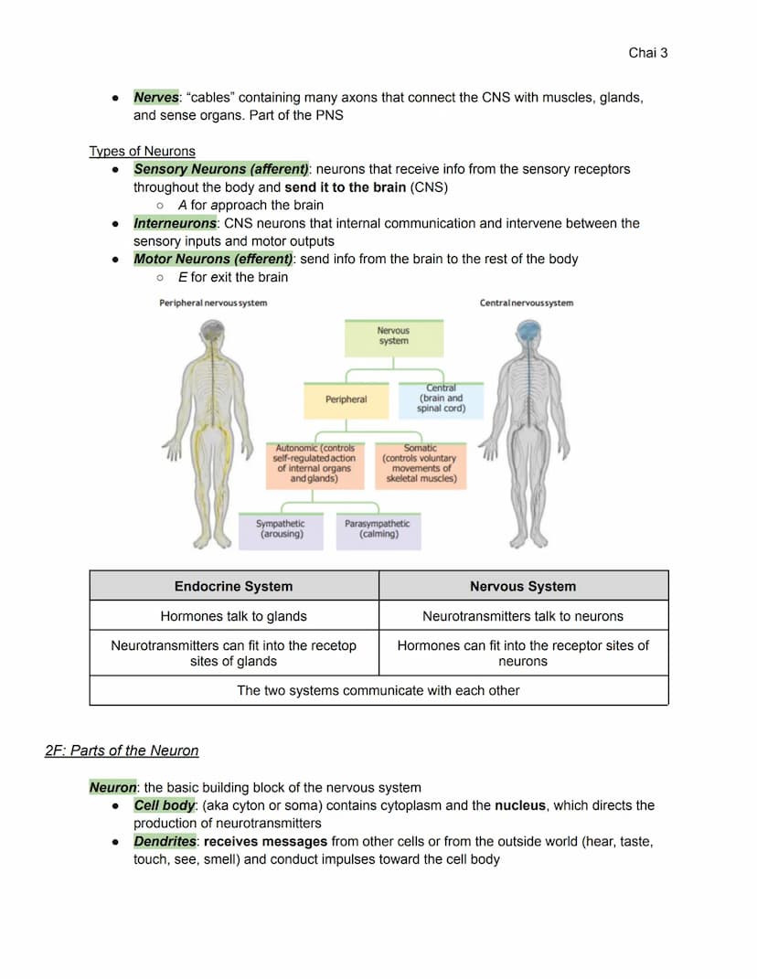 2A-C: Heredity, Environment, Evolution
Unit 2: Biological Bases of Behavior (8-10%)
●
Heredity: genetically transmitted or transmittable fro