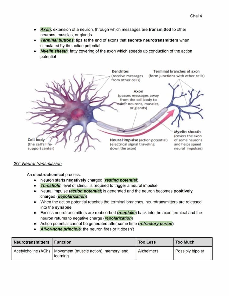 AP Psychology Unit 2: Biological Bases of Behavior Study Guide 