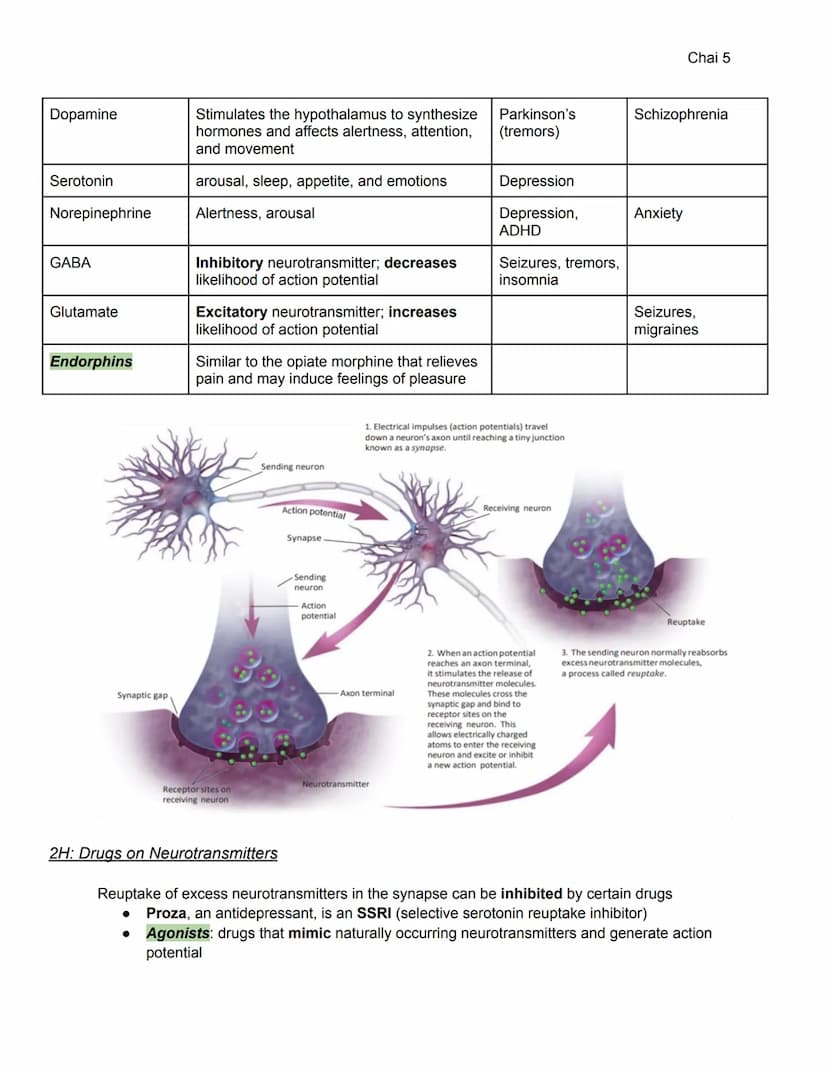 2A-C: Heredity, Environment, Evolution
Unit 2: Biological Bases of Behavior (8-10%)
●
Heredity: genetically transmitted or transmittable fro