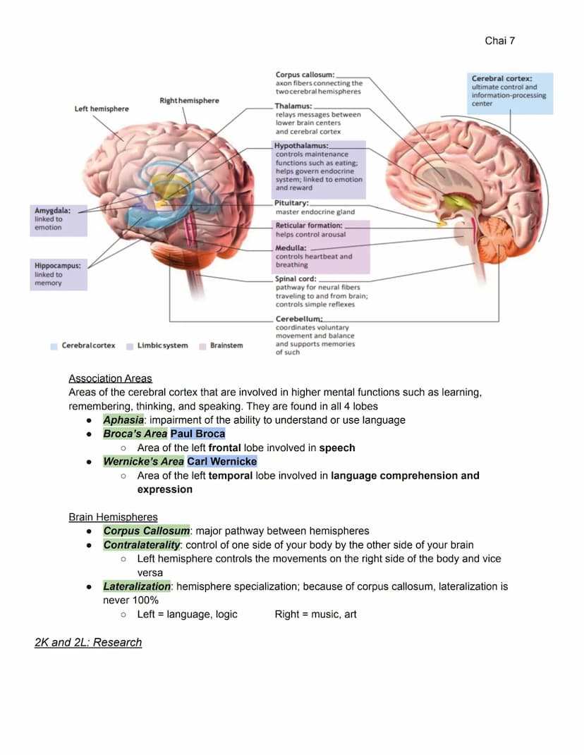 2A-C: Heredity, Environment, Evolution
Unit 2: Biological Bases of Behavior (8-10%)
●
Heredity: genetically transmitted or transmittable fro