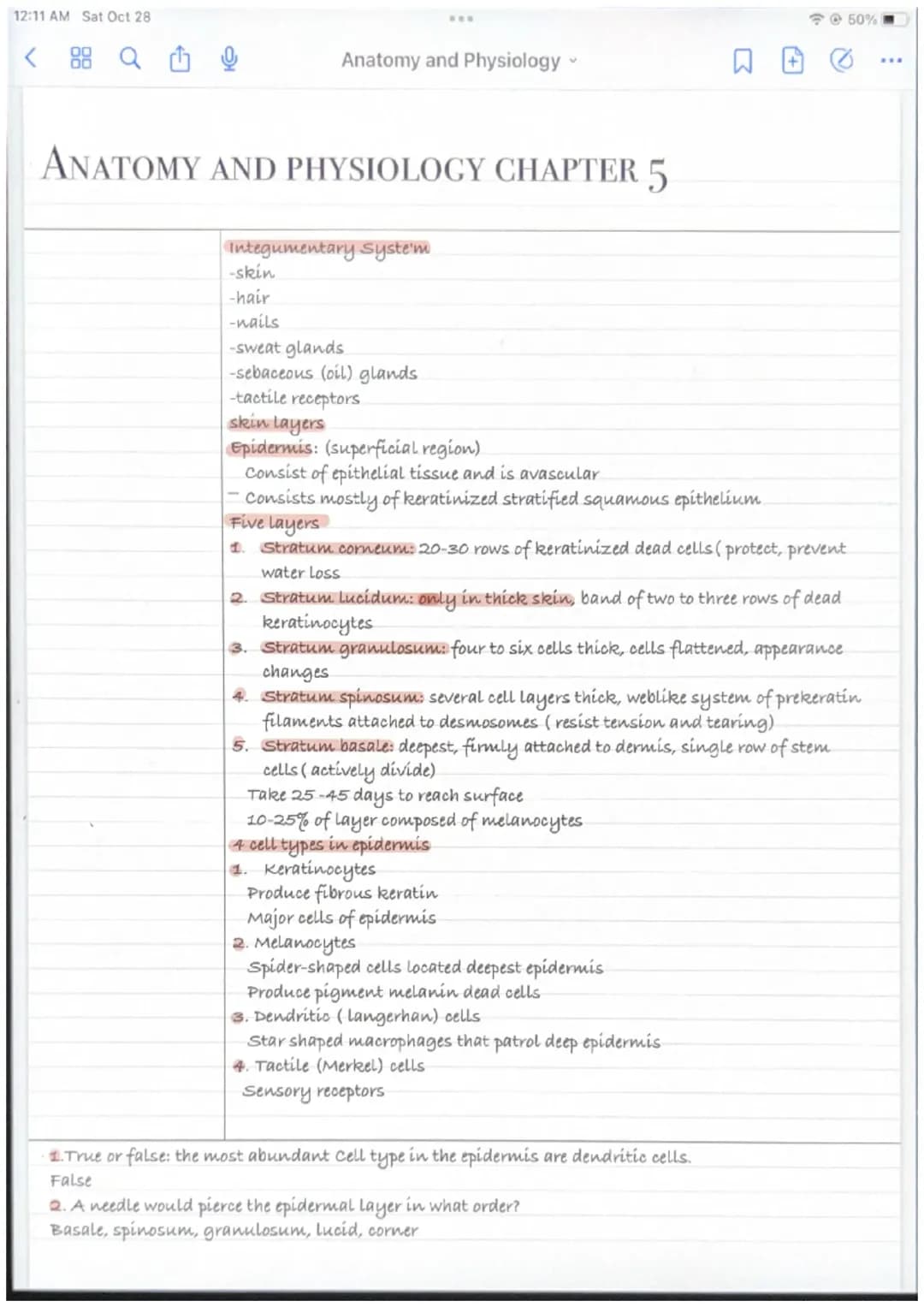 Anatomy and Physiology: Layers and Functions of the Skin