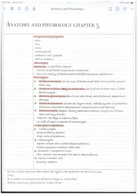 Know Anatomy and Physiology: Layers and Functions of the Skin thumbnail
