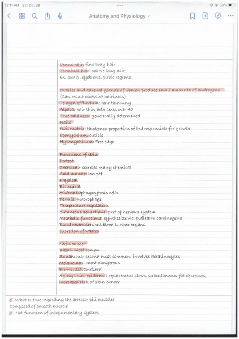 12:11 AM Sat Oct 28
Anatomy and Physiology
ANATOMY AND PHYSIOLOGY CHAPTER 5
Integumentary system
-skin
-hair
-nails
-sweat glands
-sebaceous