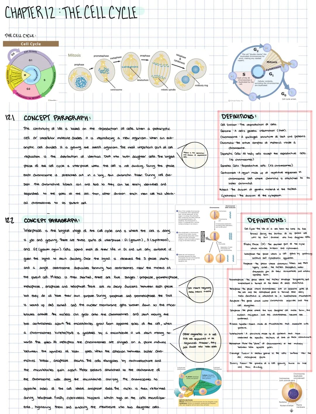 CHAPTER 12 THE CELL CYCLE
THE CELL CYCLE:
GO
Prophat
Prophase
12.1
Cell Cycle
12.2
Cell Growth
G1
Preparation for
each chromosome s
Sion the