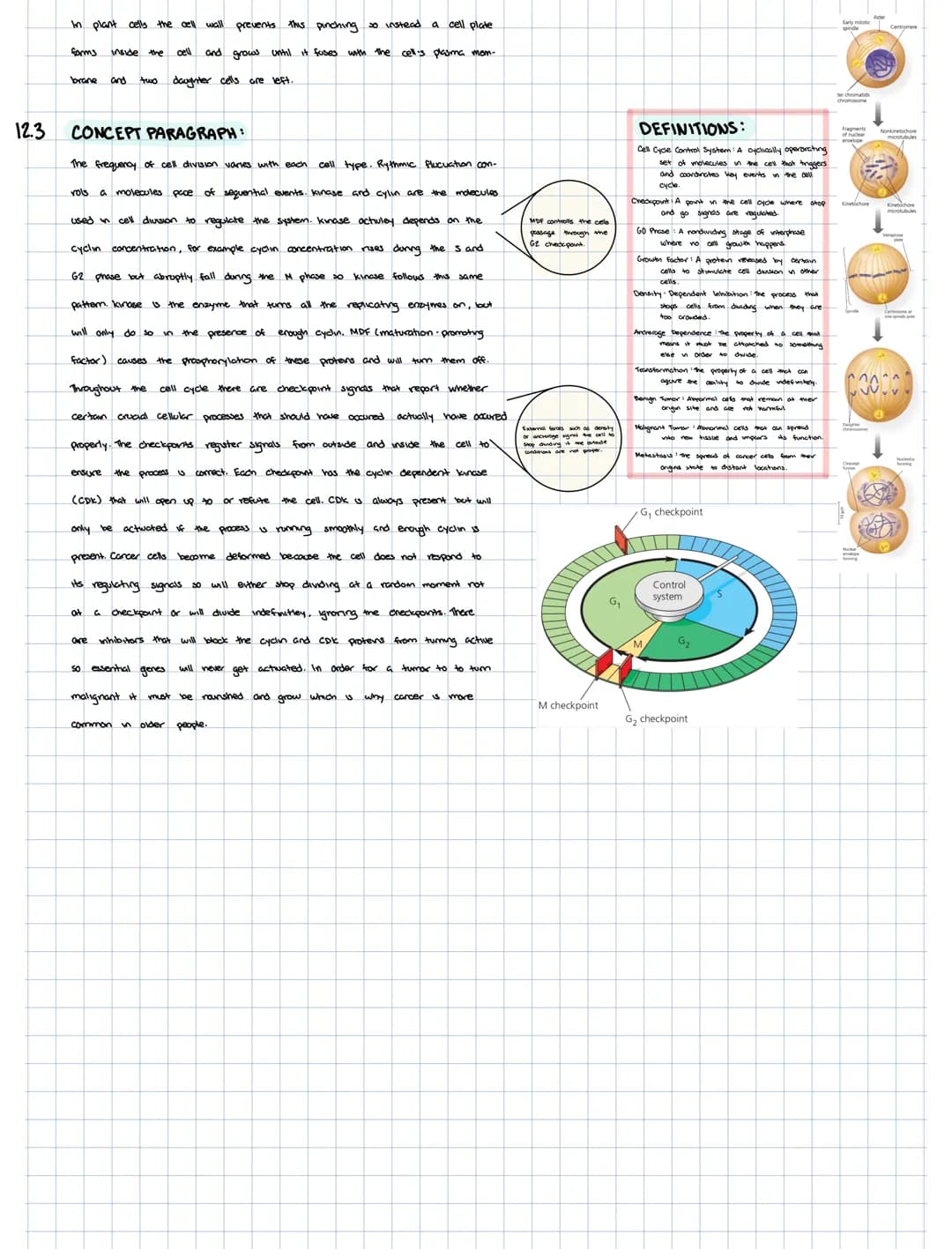 CHAPTER 12 THE CELL CYCLE
THE CELL CYCLE:
GO
Prophat
Prophase
12.1
Cell Cycle
12.2
Cell Growth
G1
Preparation for
each chromosome s
Sion the