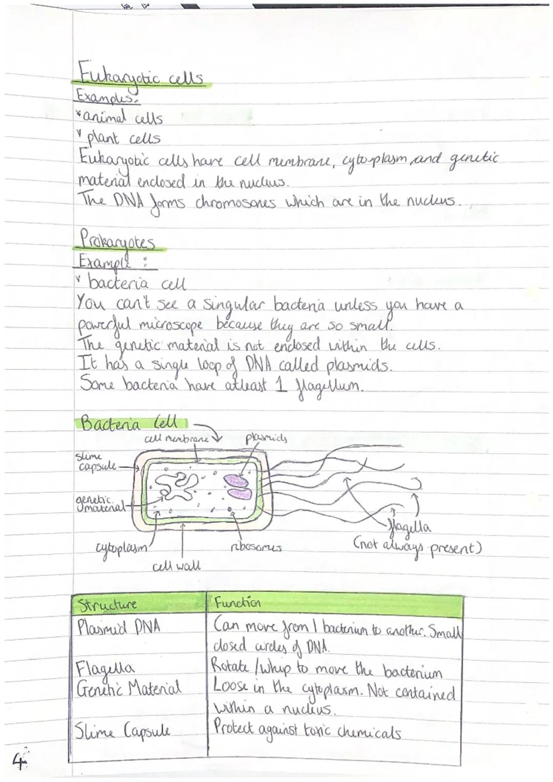 Cell Structure
Plant Cell
nudeus.
ribosomes
cell
wall-
cell membrane
Animal (ell
ribosomes
a
mitochondria
Structure
Cytoplasm
Nucleus
Cell M